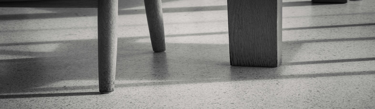 Mould Treatment Service